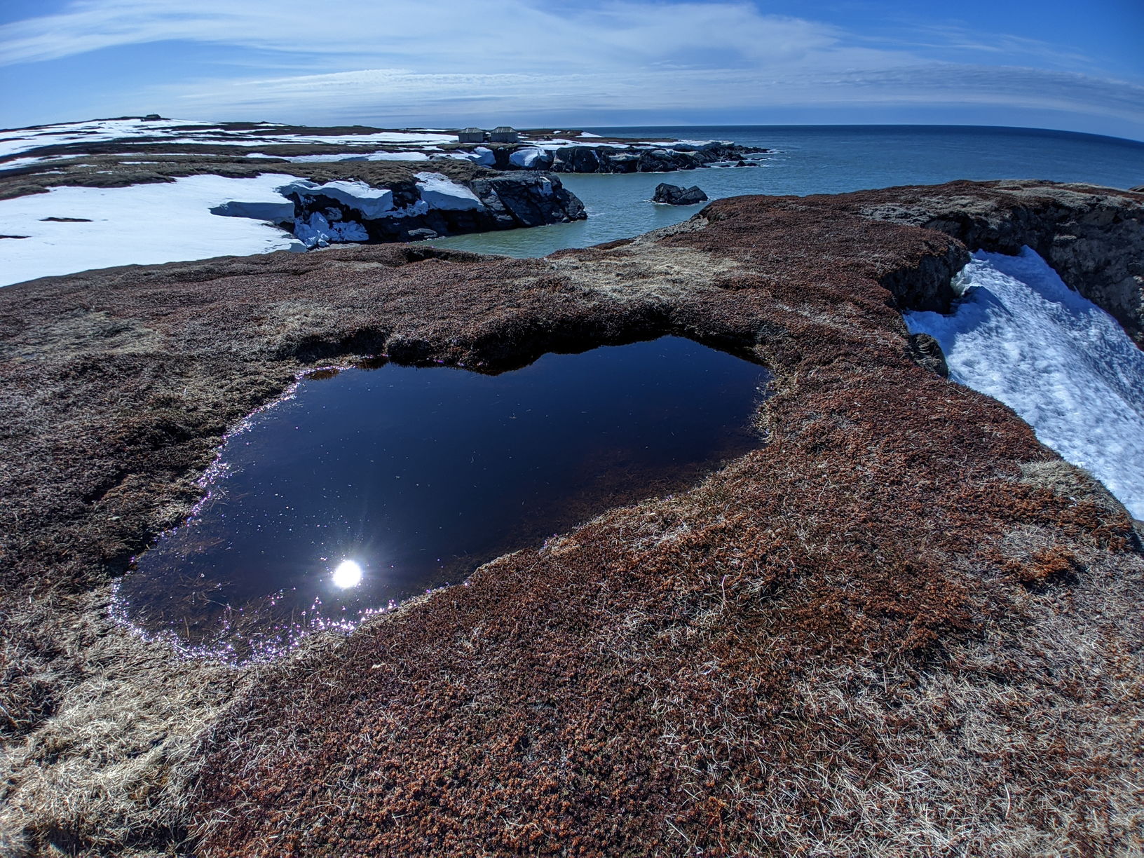 «Записки арктического волонтера» Владимира Привалова отмечены сразу в двух номинациях премии в области экологического просвещения