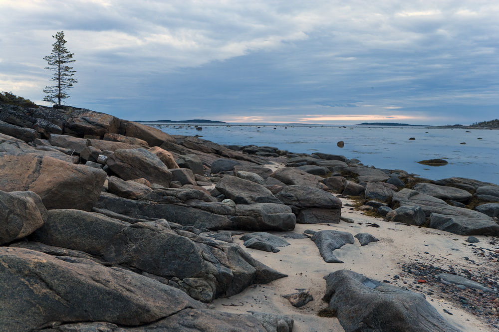 Арктика за неделю: важнейшие темы арктической повестки со 2 по 5 мая