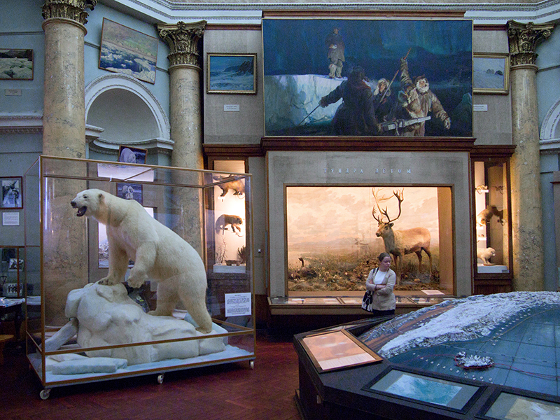 Проблемы логистики и внимание центра: музеи Арктики хотят объединиться