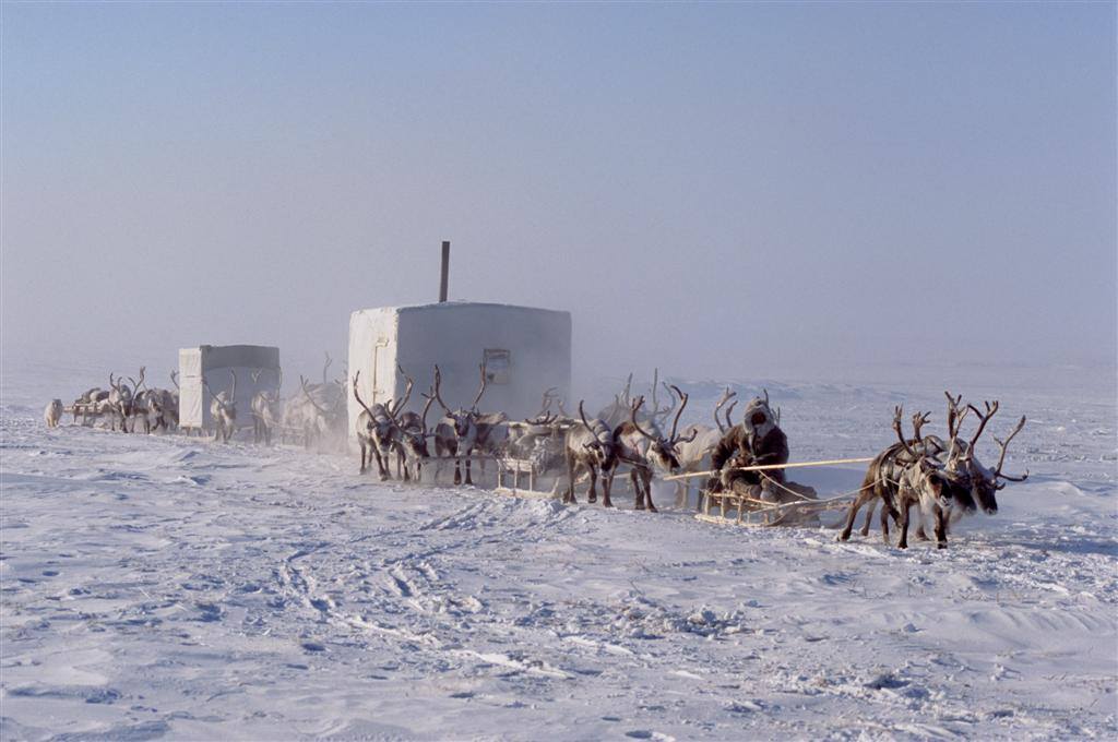 Древние и молодые этносы Арктики