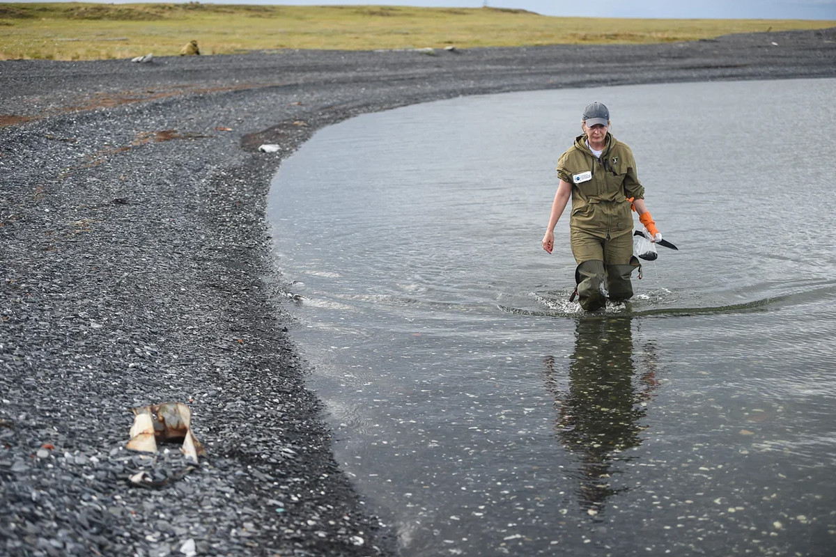 Учёные хотят очистить озеро Пясино под Норильском