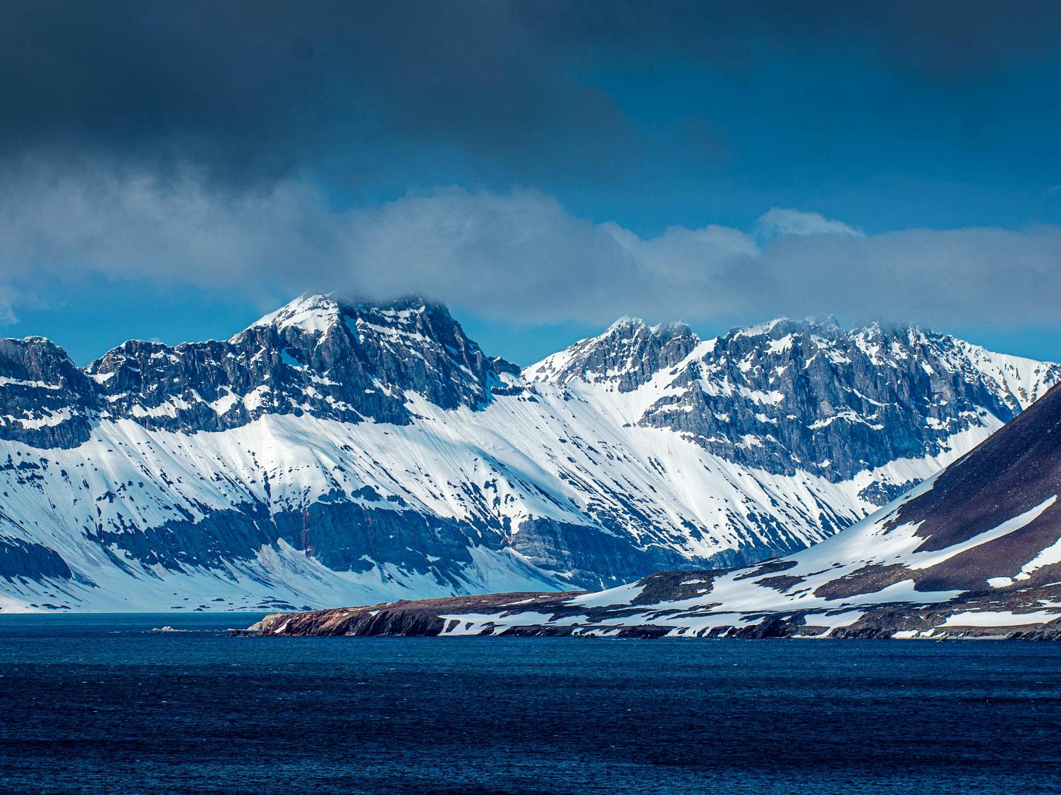 Рассылка «ПОРА в Арктику! GoArctic!» – выпуск от 31 мая 2025 года Рассылка «ПОРА в Арктику! GoArctic!» – выпуск от 31 мая 2025 года