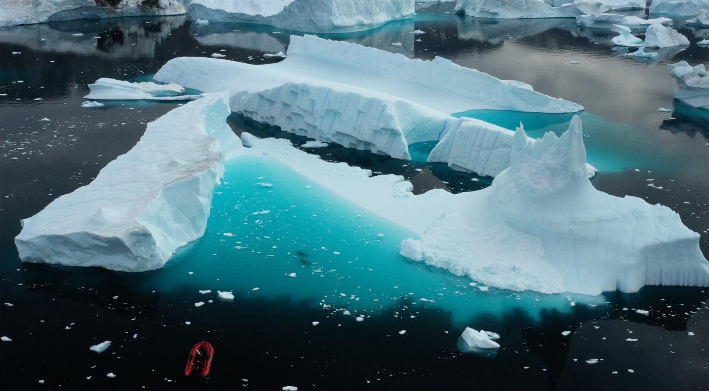 В Арктике обнаружили неизвестные виды жизни