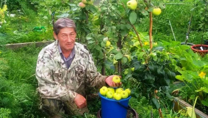 Житель Олекминска вырастил яблоневый сад