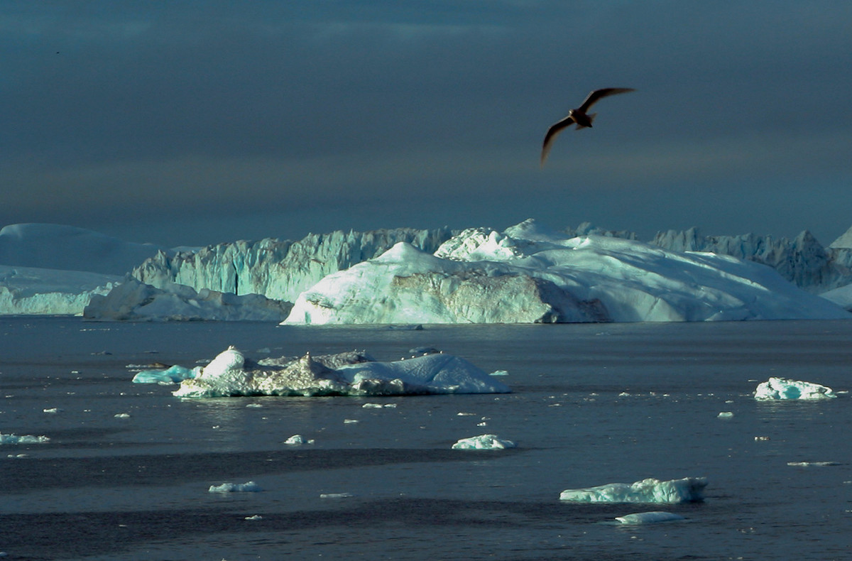 В Конгресс США внесены законопроекты о Гренландии: от Республиканской партии –  об аннексии, от Демократической – о защите