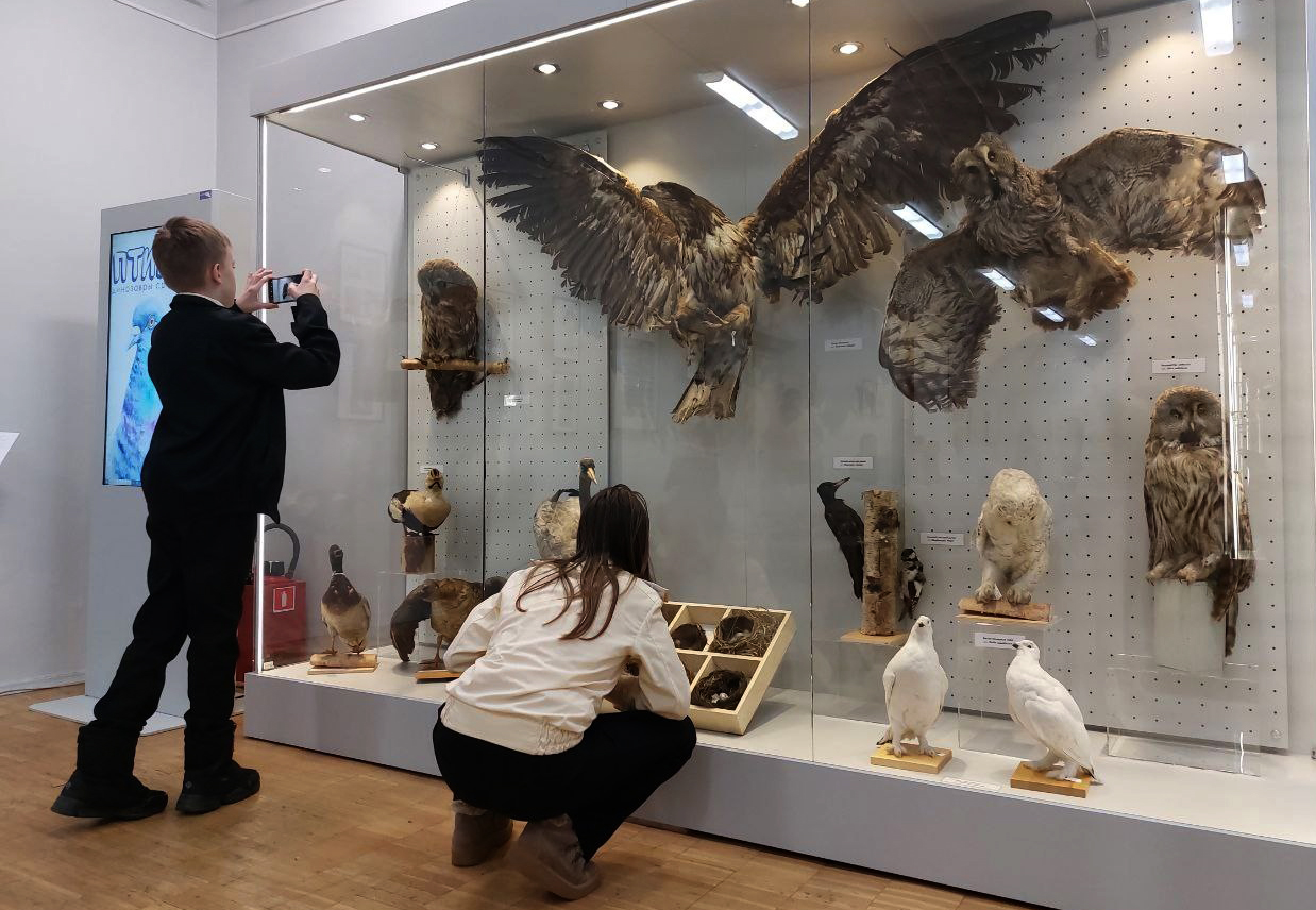 «Динозавры среди нас»: в Северодвинском краеведческом музее открылась выставка о птицах
