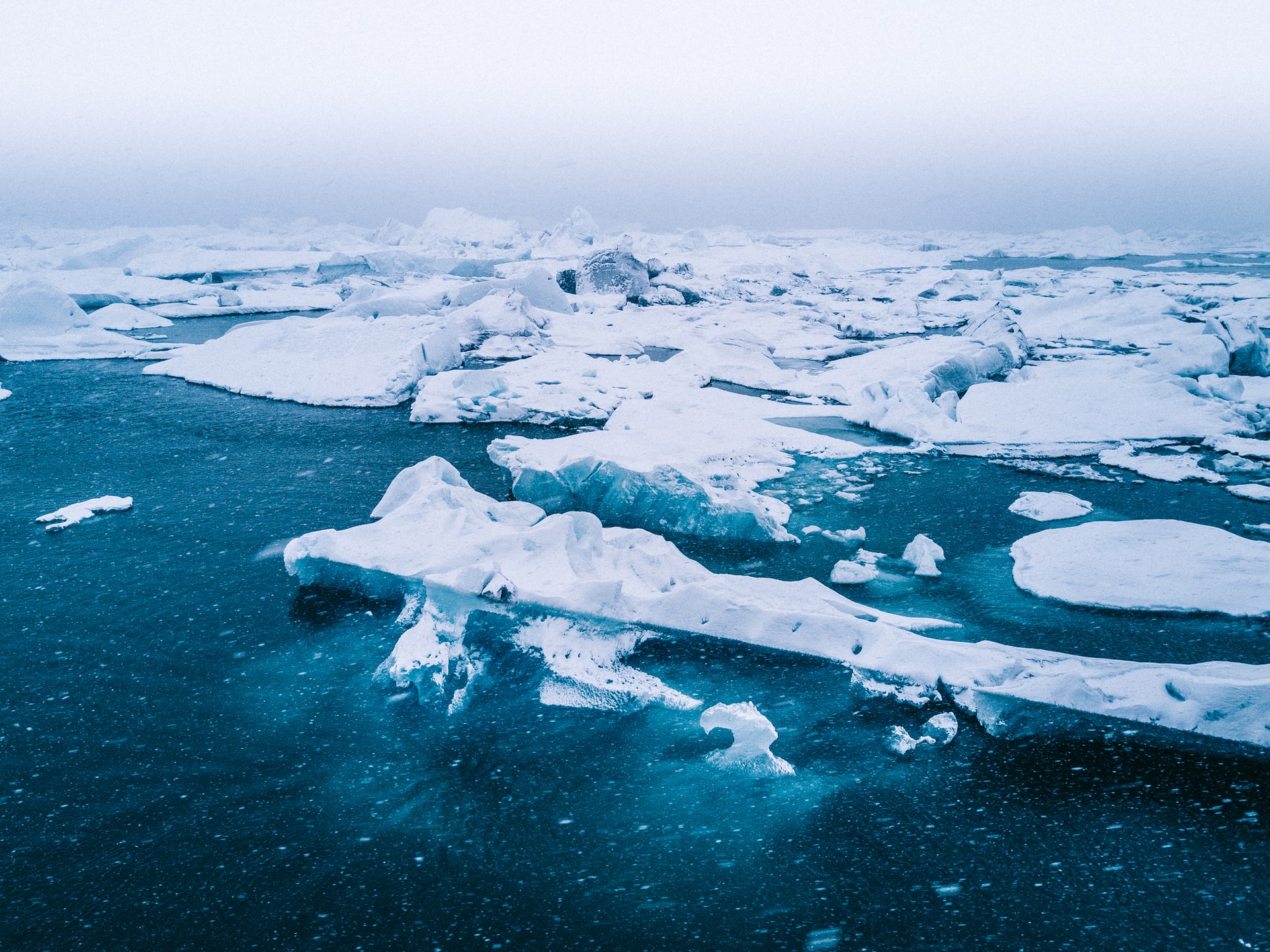 Морская среда Арктики требует изучения и защиты