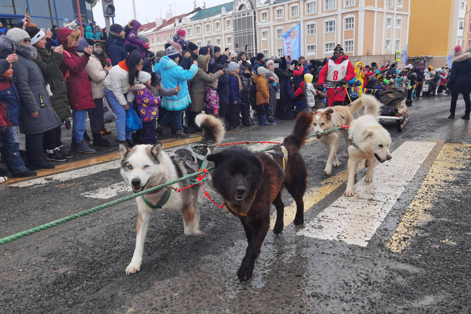 Гонка на собачьих упряжках «Надежда-2021» завершилась в Анадыре