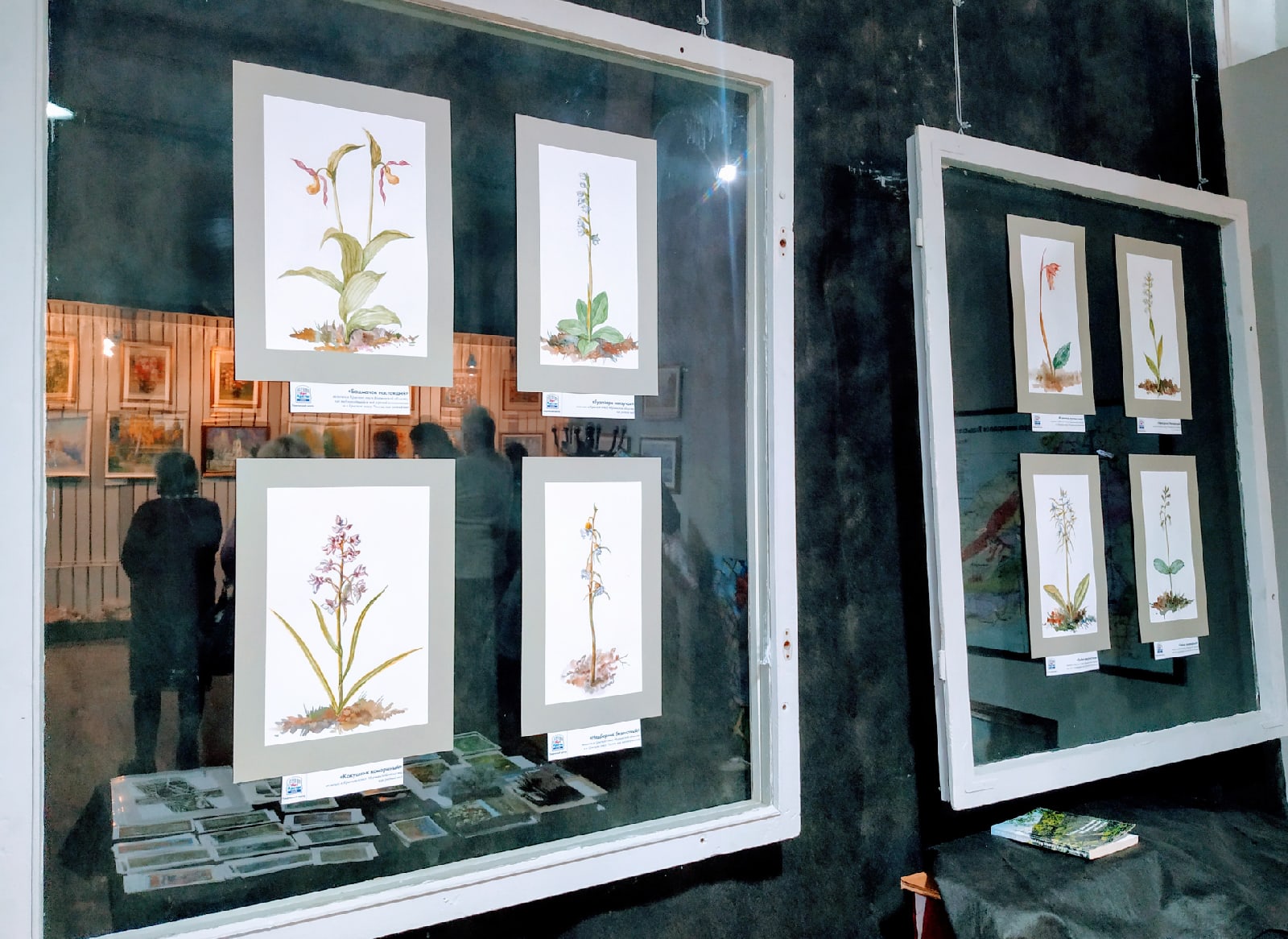 Выставка «Дикие орхидеи Заполярья» открылась в Апатитах