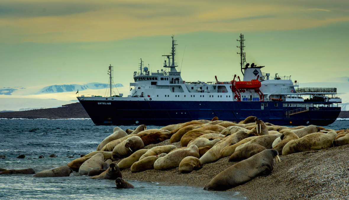 На Комитете ИМО в Лондоне обсуждаются срочные меры по защите Арктики от воздействия судоходства