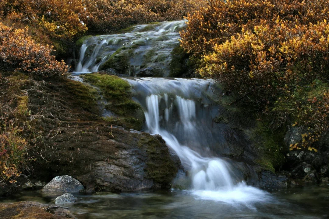 В Мурманске обсудили природосберегающие инициативы