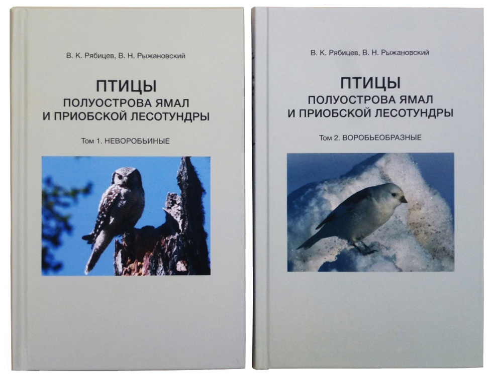 Долгожданная монография о птицах Ямала теперь доступна россиянам