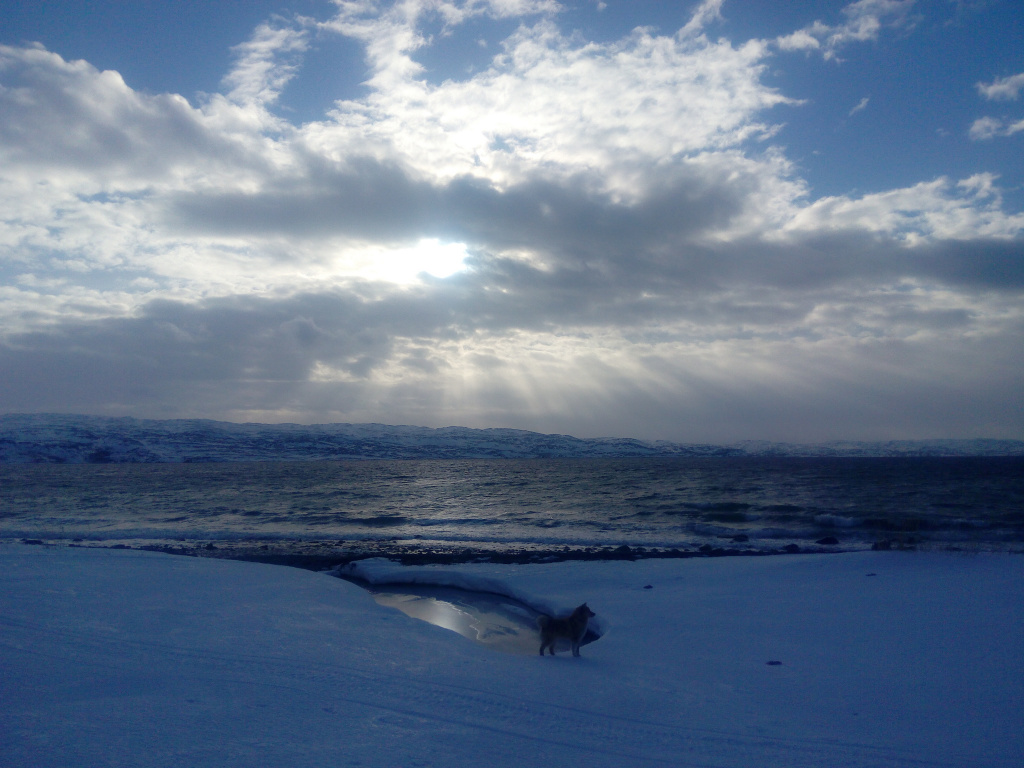 Рассылка «ПОРА в Арктику! GoArctic!» – выпуск от 4 октября 2025 года