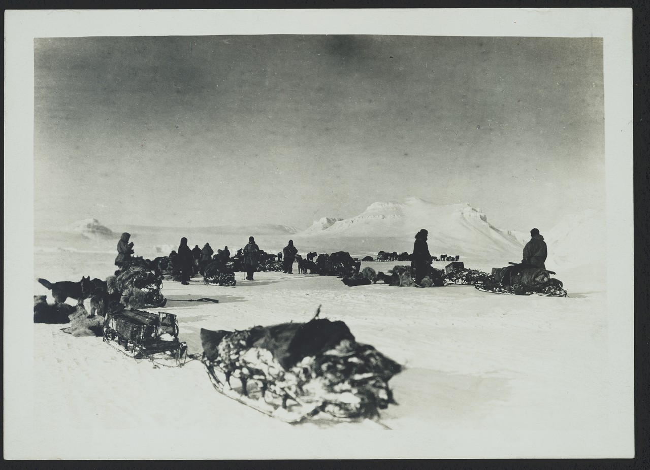 23 июня 1903 года стартовала Полярная экспедиция Циглера