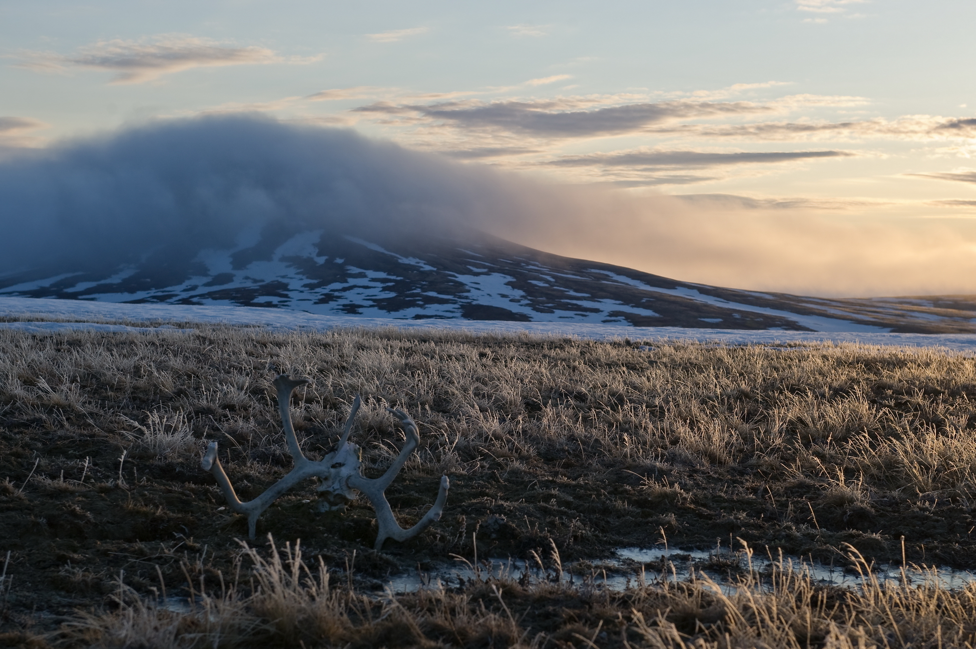 Оползни холмов в Арктике способствуют выбросам углерода