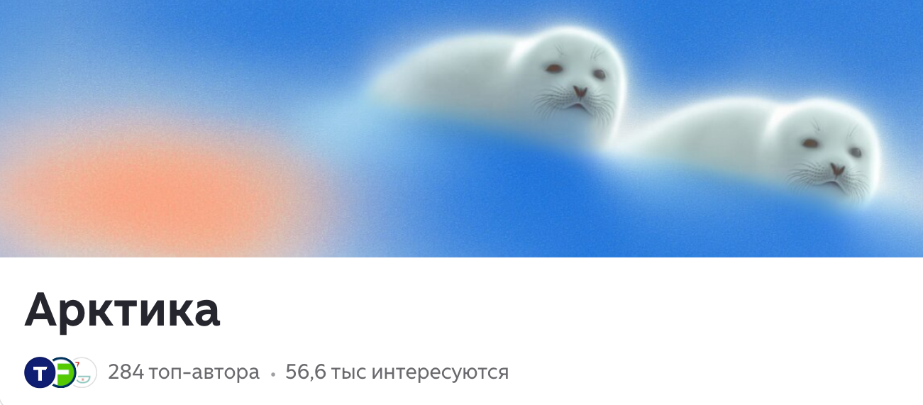 «Дзен» завершил работу над созданием тематического канала об Арктике, созданного при участии GoArctic