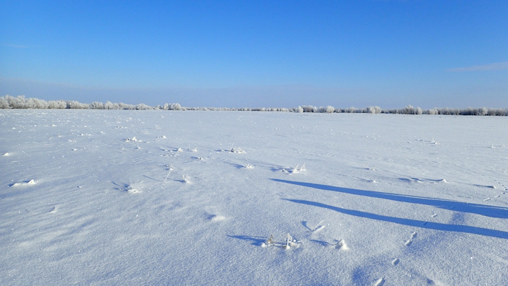 Ученые выяснили качество снега, питающего Карское море