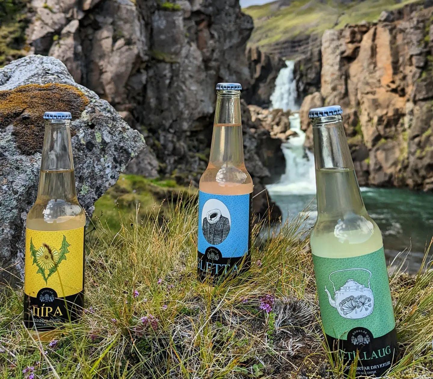 Напитки из местных дикоросов стали популярными в Исландии