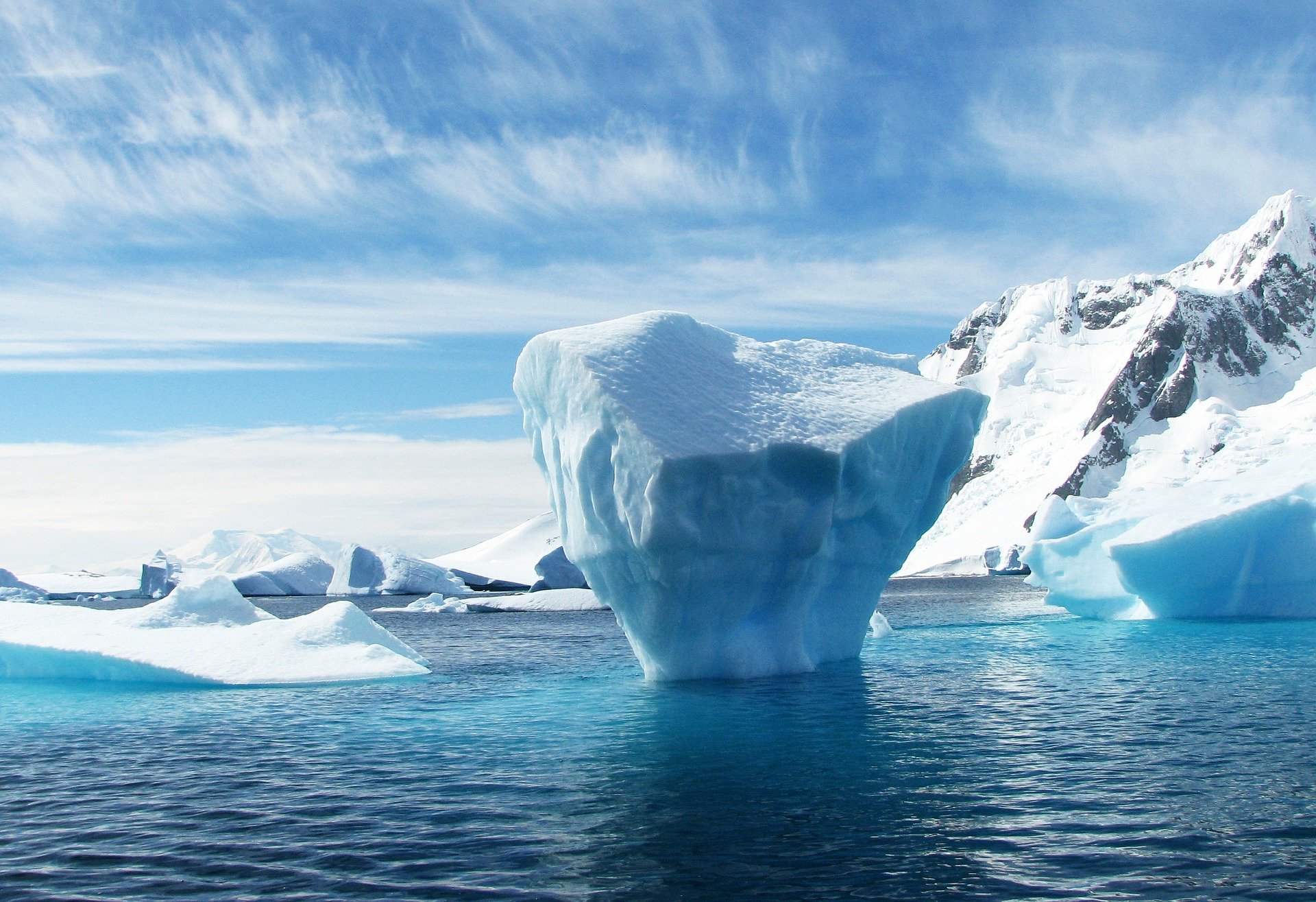 Проектный офис развития Арктики выступил со-организатором Международного дня импорта и экспорта