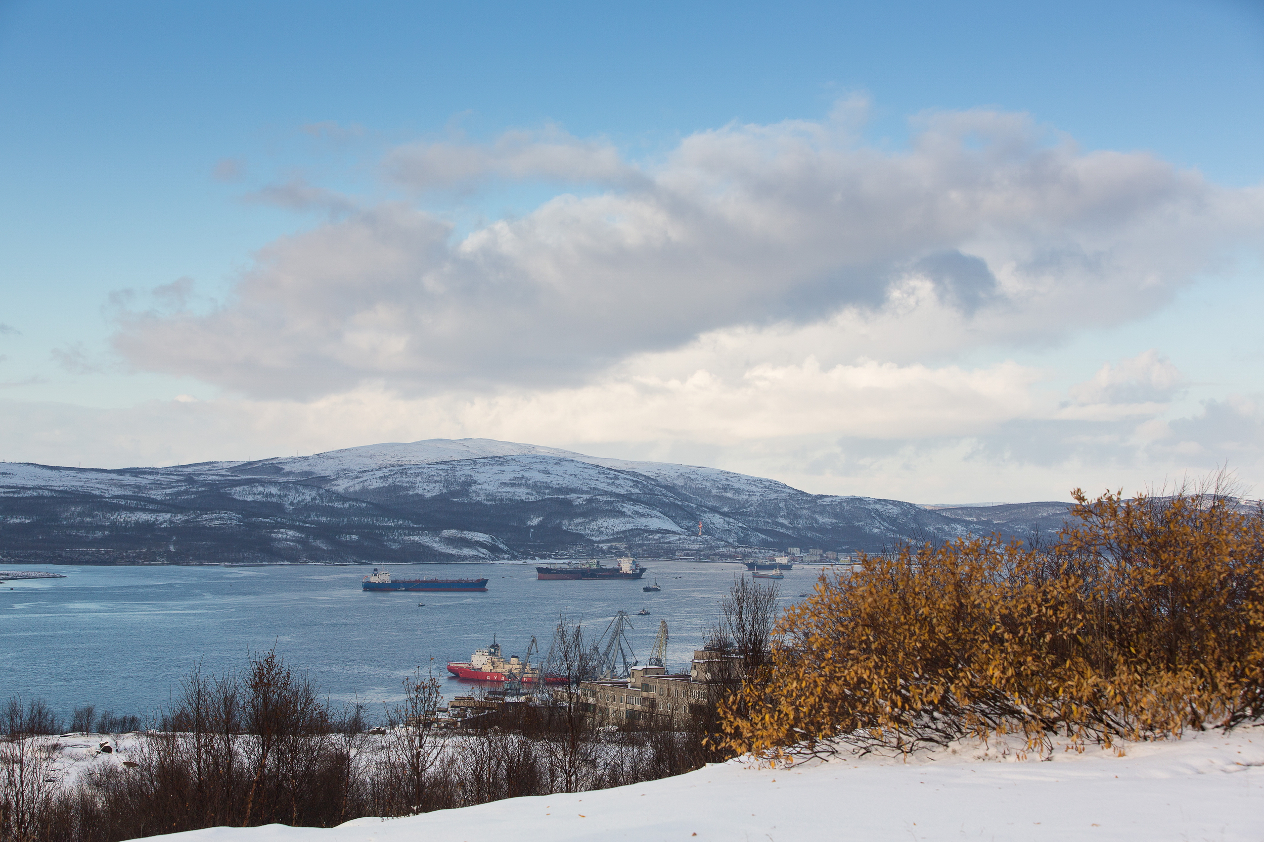 ПОРА и МГУ выпустили пятый рейтинг арктических регионов «Полярный индекс»