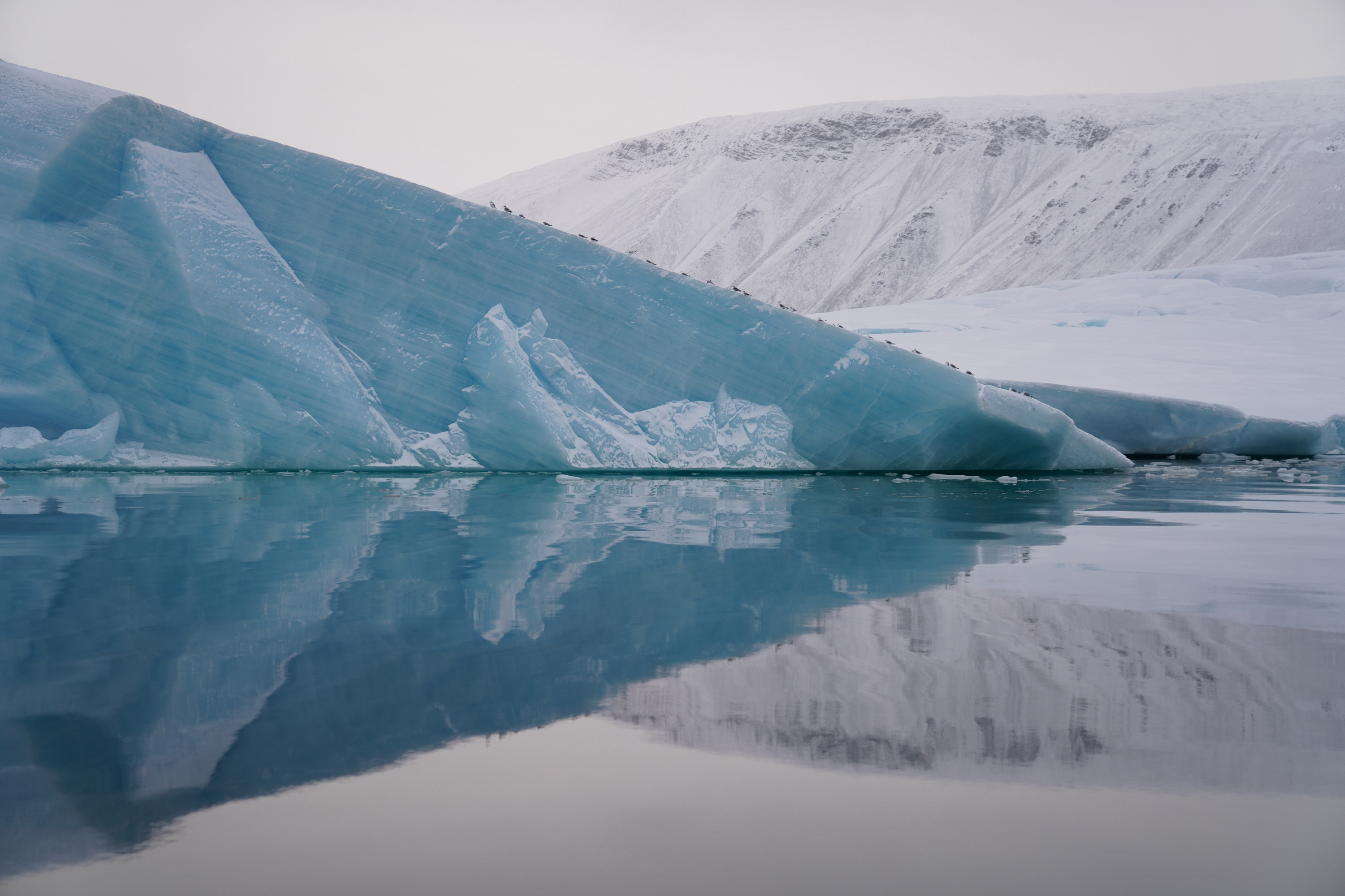 Арктика сегодня. Российские ученые впервые оценили масштабы таяния арктических ледников