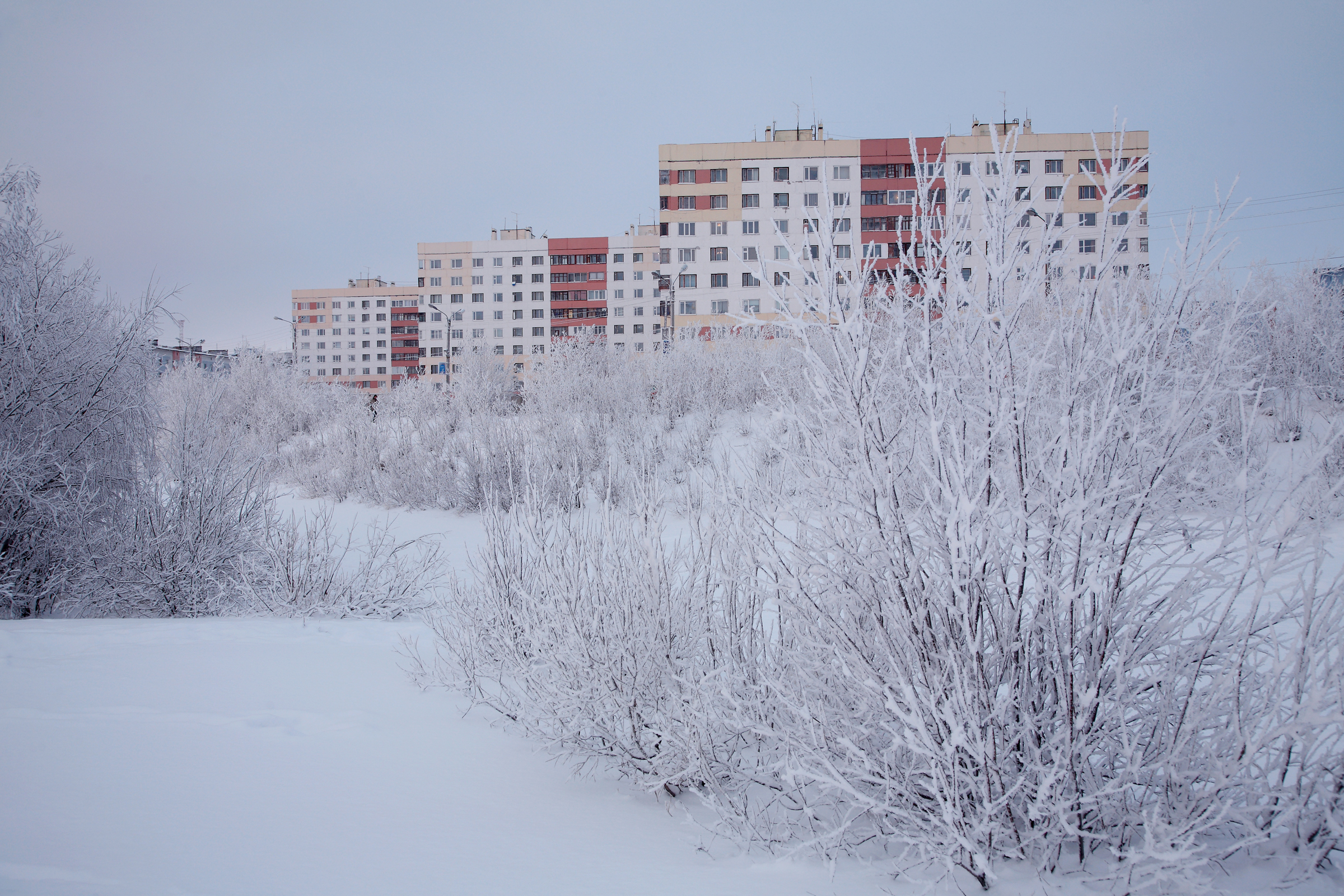 Арктика сегодня. В Норильске построят Ледовый дворец спорта за 6 млрд рублей