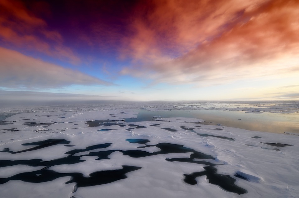 Чем манит людей Арктика?