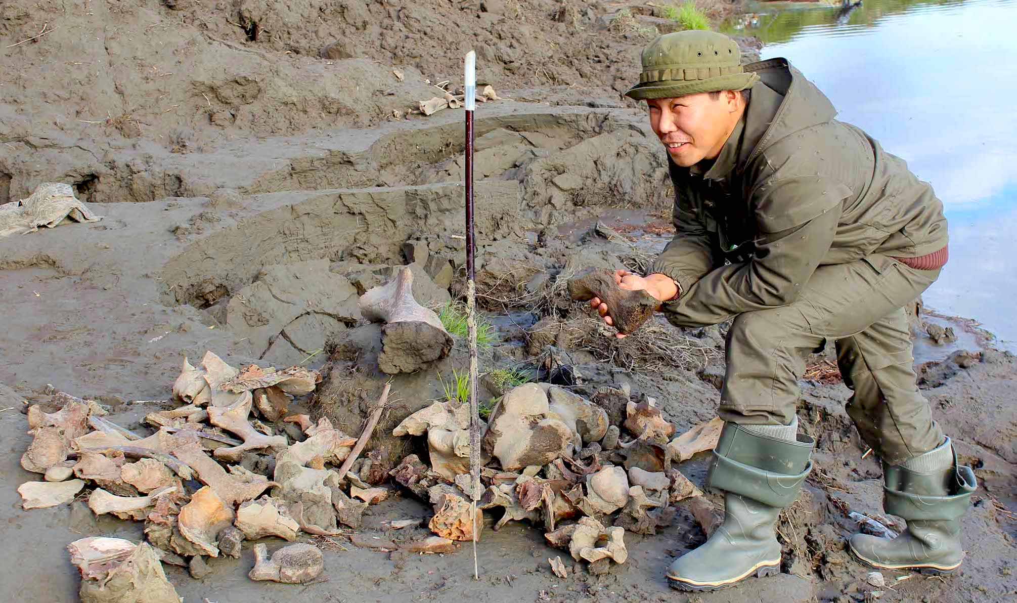 В Якутии обнаружили древние кости неизвестных животных, носорогов и львов