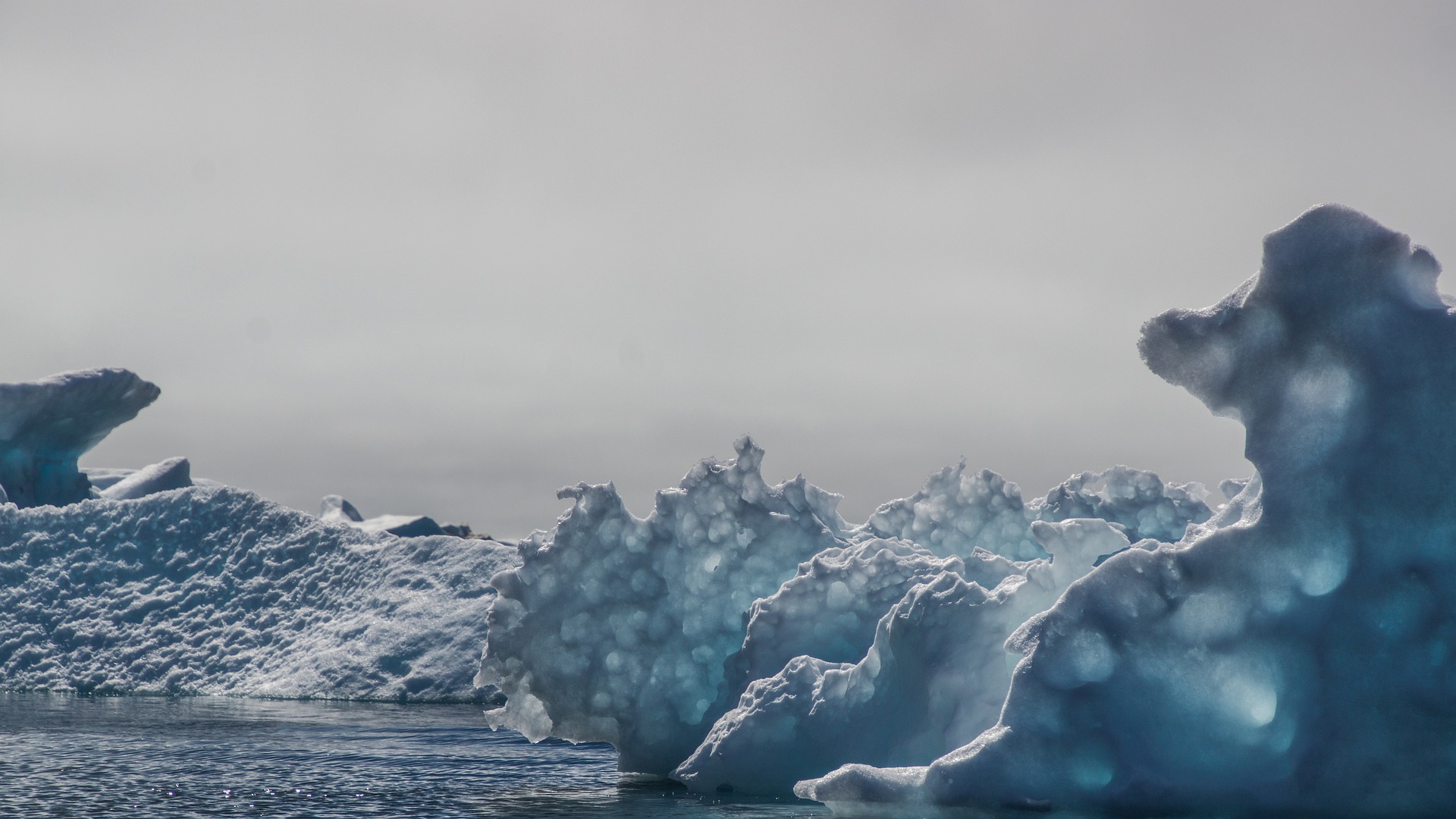 Новый остров найден в Арктике двумя школьниками