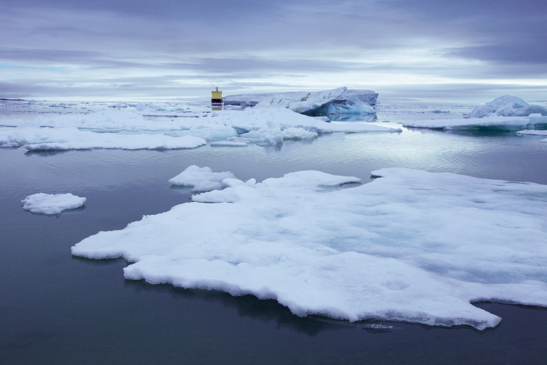 Арктика сегодня. Правительство предоставит субсидии для контейнерных перевозок на Севморпути
