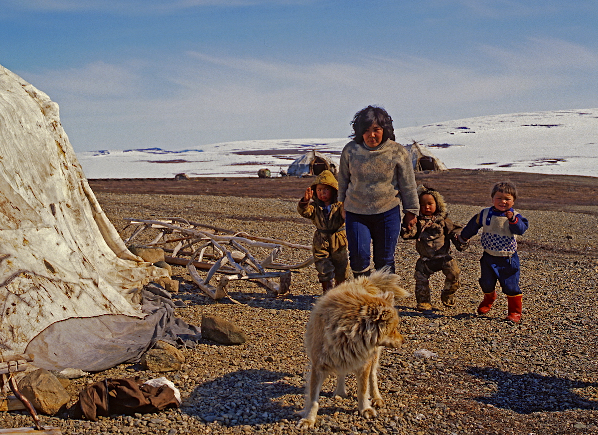 Первый кочевой детский сад откроется в 2026 году на Чукотке
