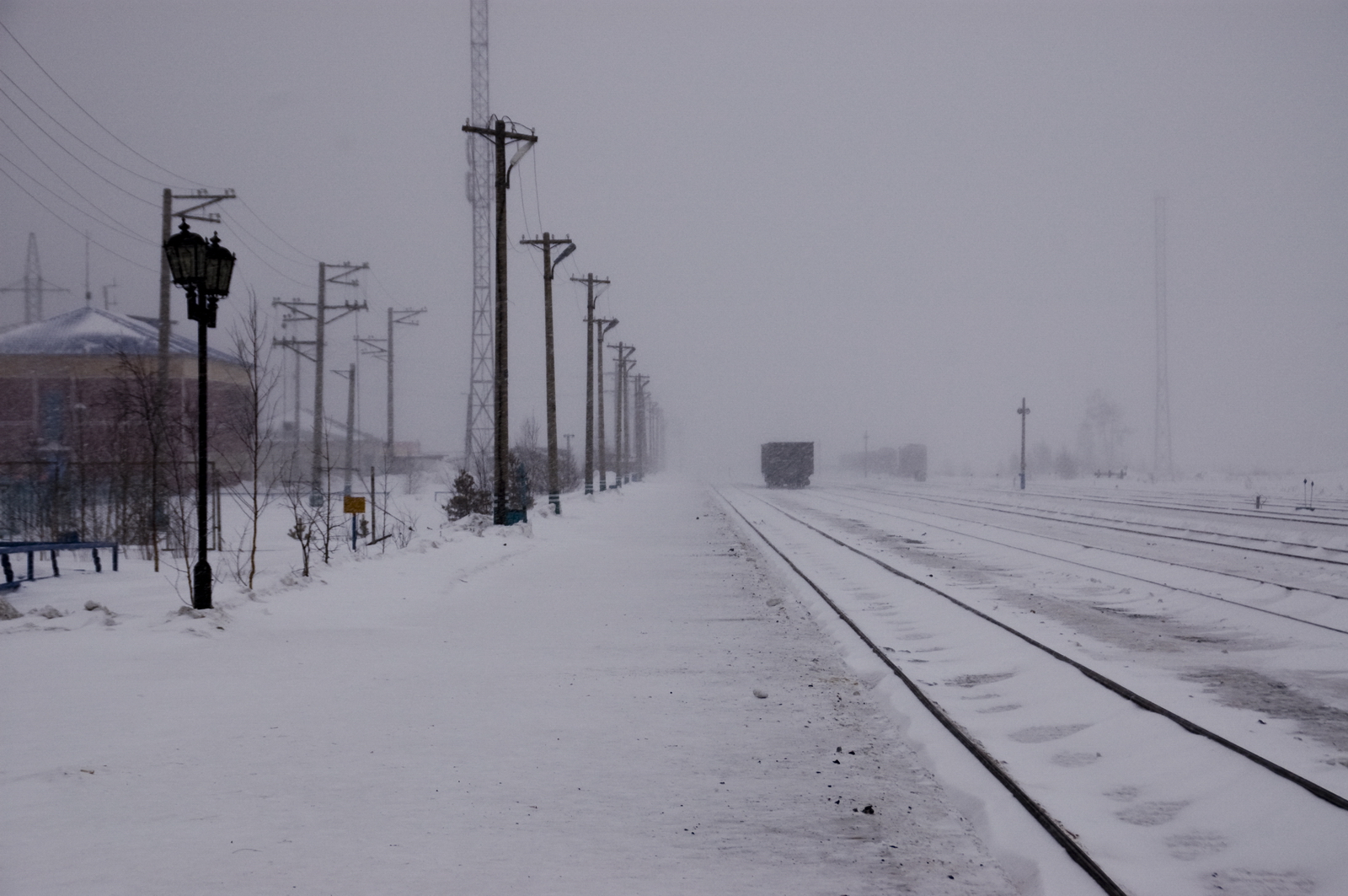 Одна из веток Северо-Сибирской железной дороги будет вести в Арктику, к Северному морскому пути