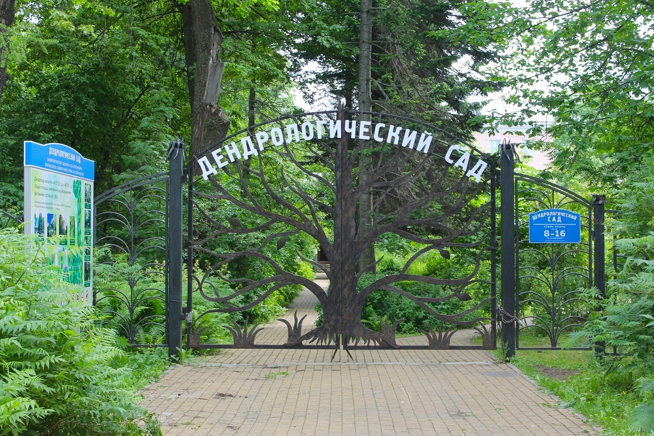 Специалисты по охране природы Архангельской области в преддверии Дня эколога 5 июня проведут экомарафон с пользой для себя и своих ООПТ Специалисты по охране природы Архангельской области в преддверии Дня эколога 5 июня проведут экомарафон с пользой для себя и своих ООПТ