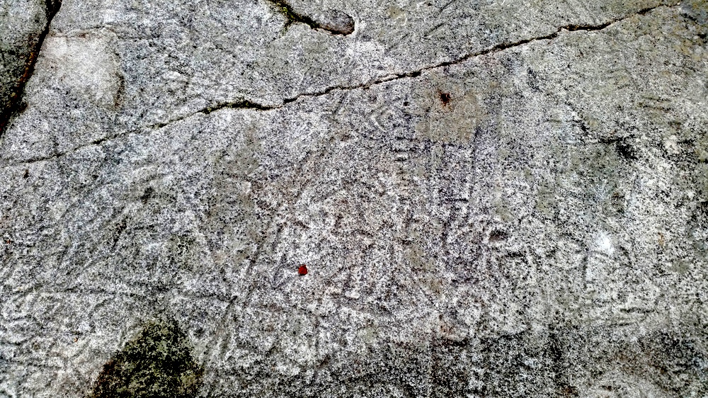 Тайны каменного века – в 3D: в Арктике создадут цифровые двойники неразгаданных петроглифов Канозера