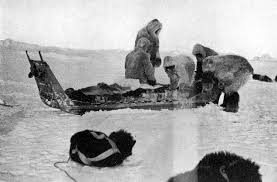 1 сентября 1909 года в прессе вышло первое сообщение о достижении Северного полюса 