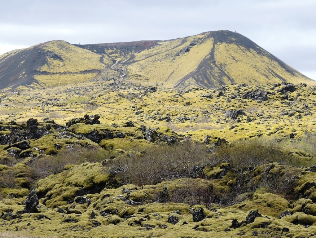 Исландия. Жизнь между ледником и вулканом
