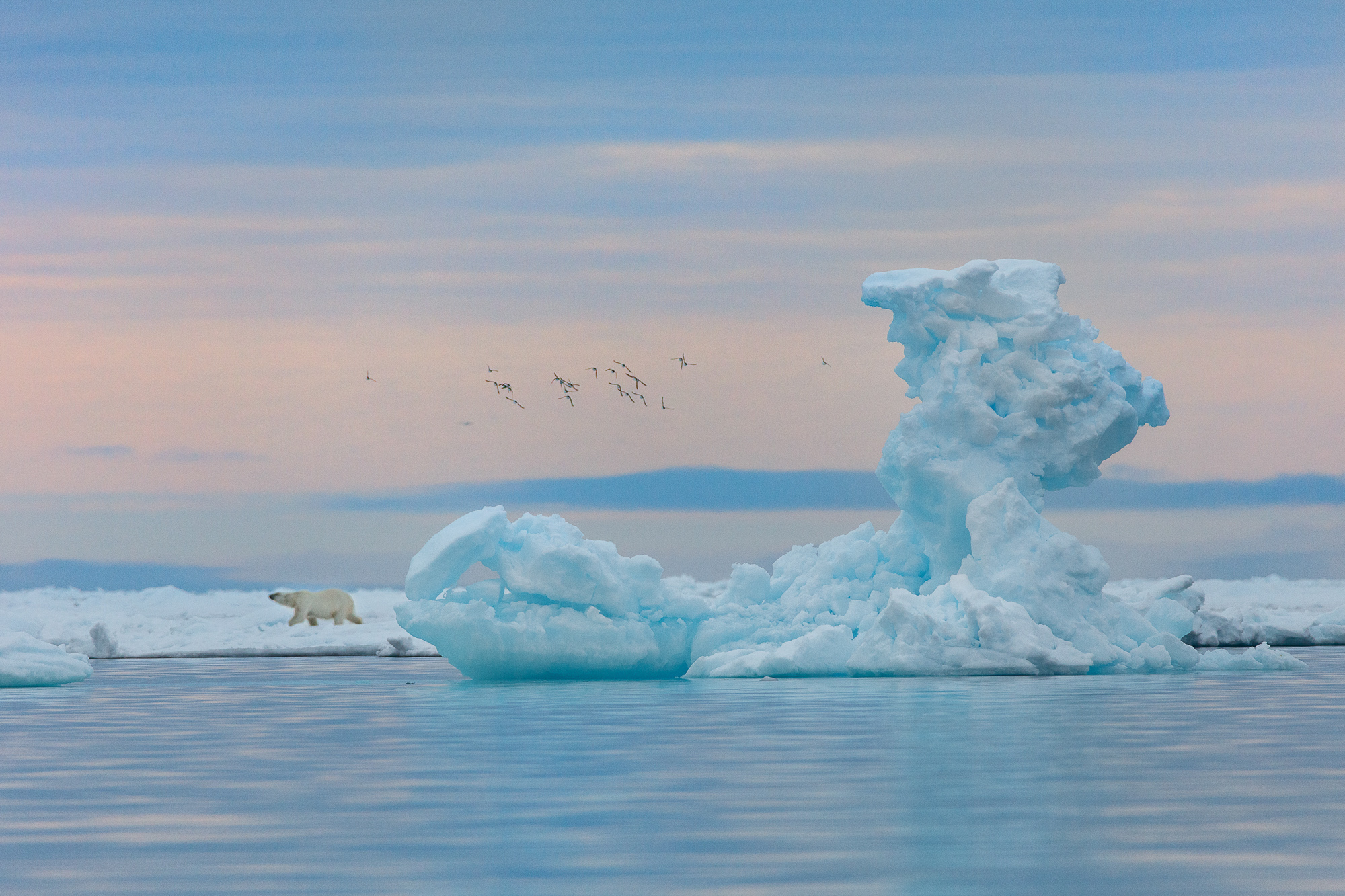 «Ледяная клешня» из «Русской Арктики» в финале конкурса «Самая красивая страна»