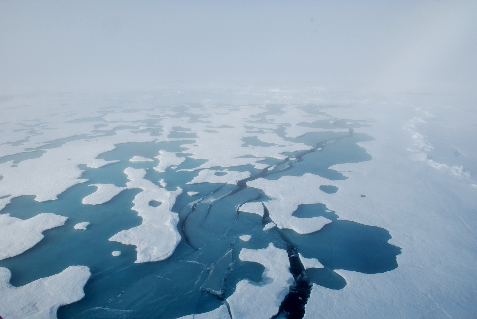 Нефтегазовый потенциал Арктики прирастает запасами