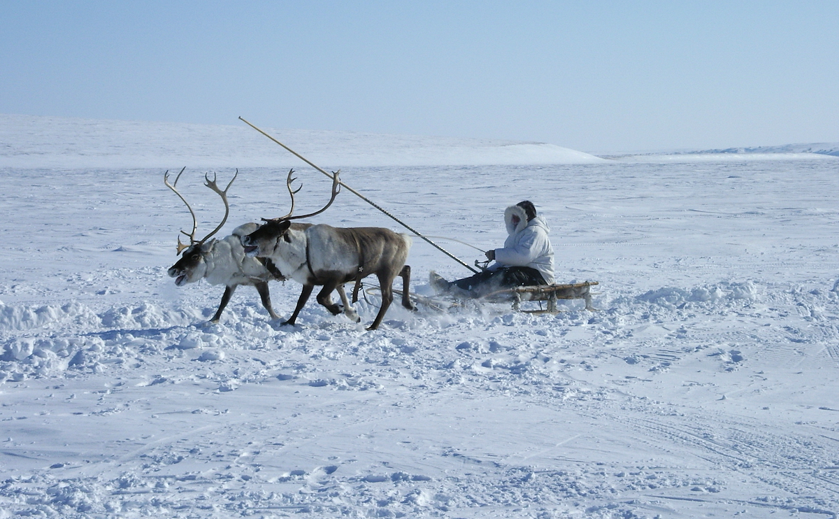 Девятичасовая гонка на оленьих упряжках «Ръилет» – самая протяжённая в России и в мире – пройдёт 19 марта на Чукотке