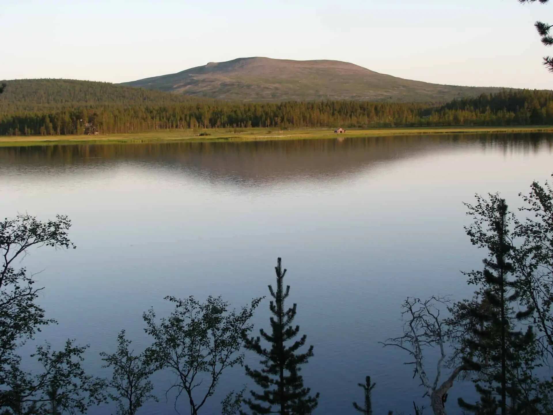 В Финляндии заповедник выкупил 54 гектара древних лесов на пожертвования