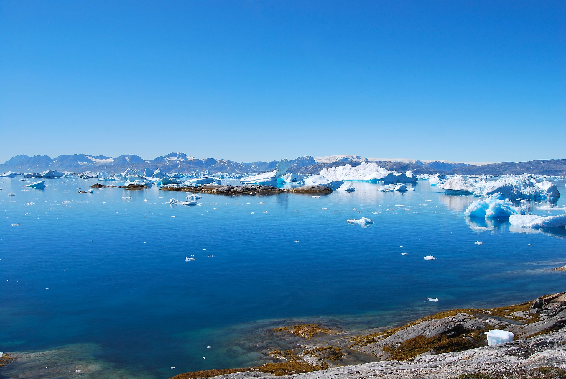 Арктика за неделю: генерируем идеи, думаем о шельфе и открываем острова