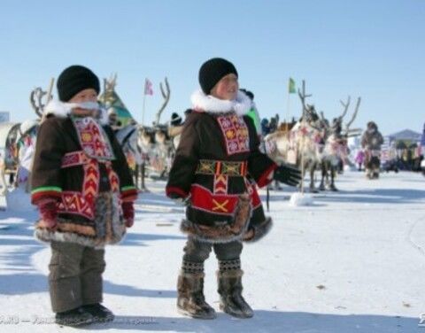 В арктических районах Якутии увеличилась рождаемость и снизилась смертность