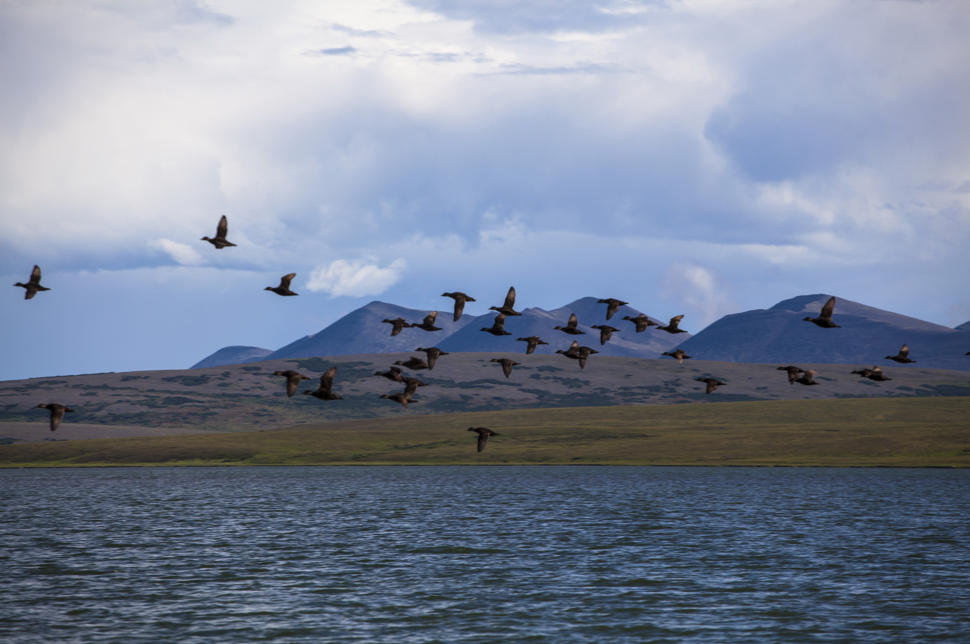 Арктика за неделю: важнейшие темы арктической повестки с 20 по 22 февраля