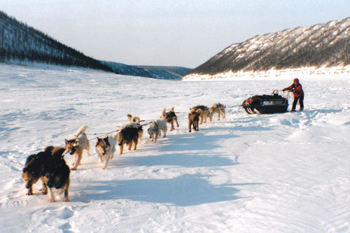 27 апреля 2006 года – Экспедиция Трансарктика-2006 двинулась на собачьих упряжках к Северному полюсу