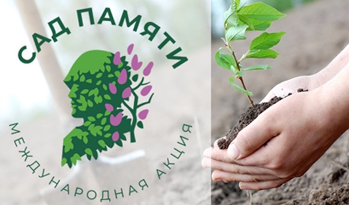 Ямал, НАО, Мурманская и Архангельская области присоединились к Всероссийской акции высаживания деревьев «Сад Памяти»