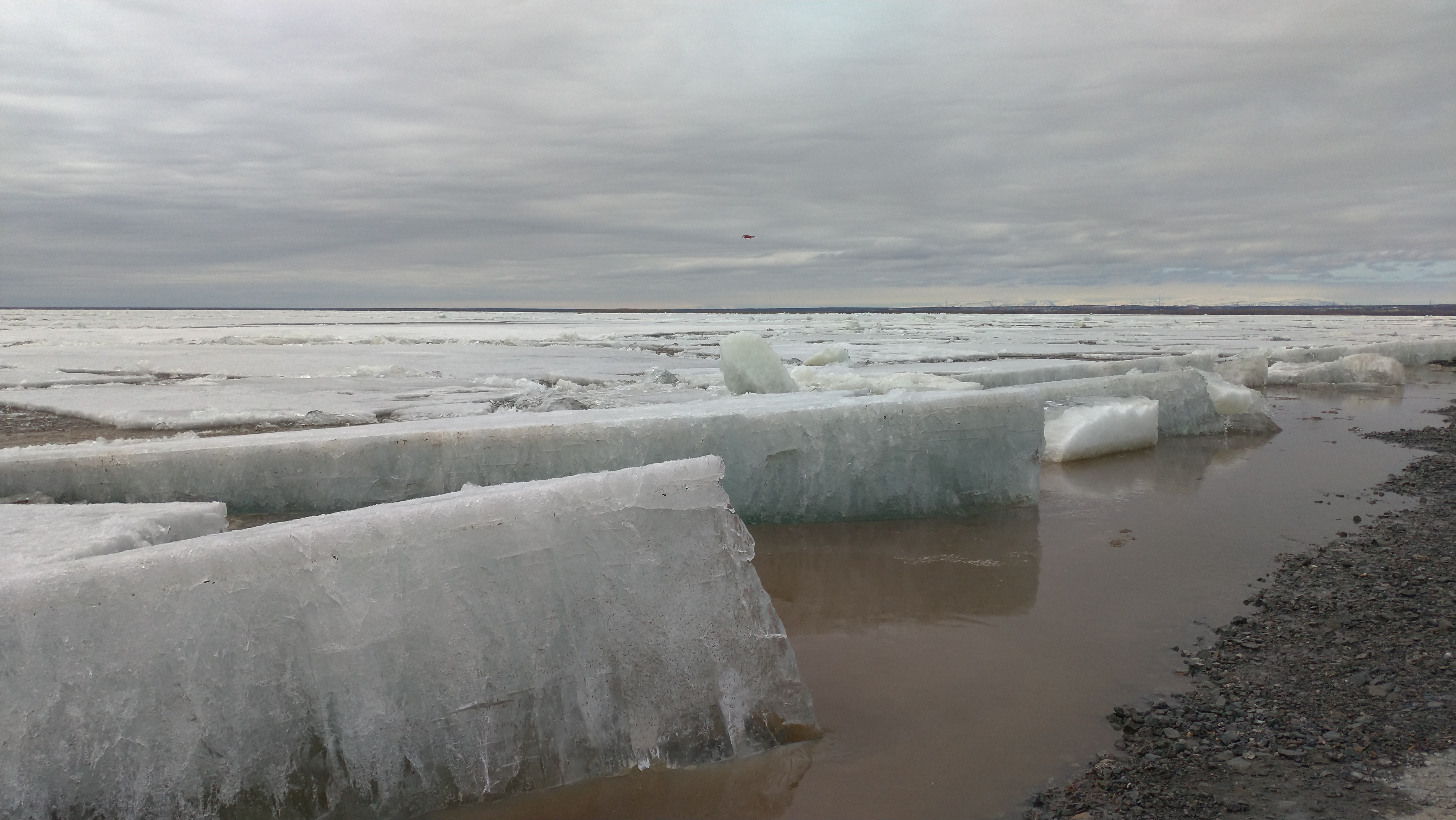 Ямальская Обь – 2021: особенности ледохода