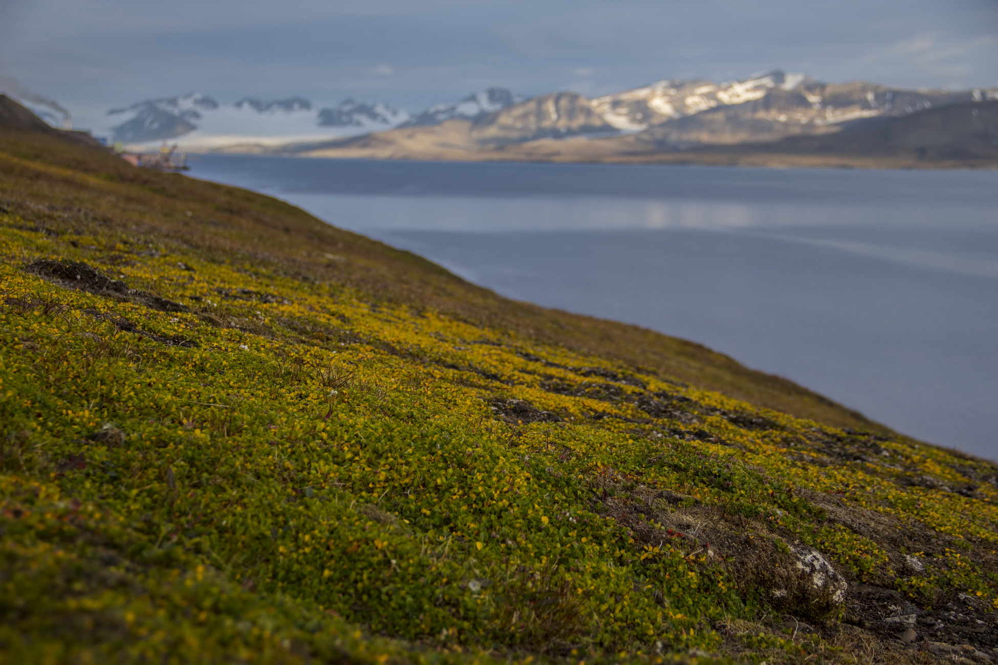 Арктика сегодня. Исследователи подтвердили способность Арктики самоочищаться от загрязнения нефтепродуктами