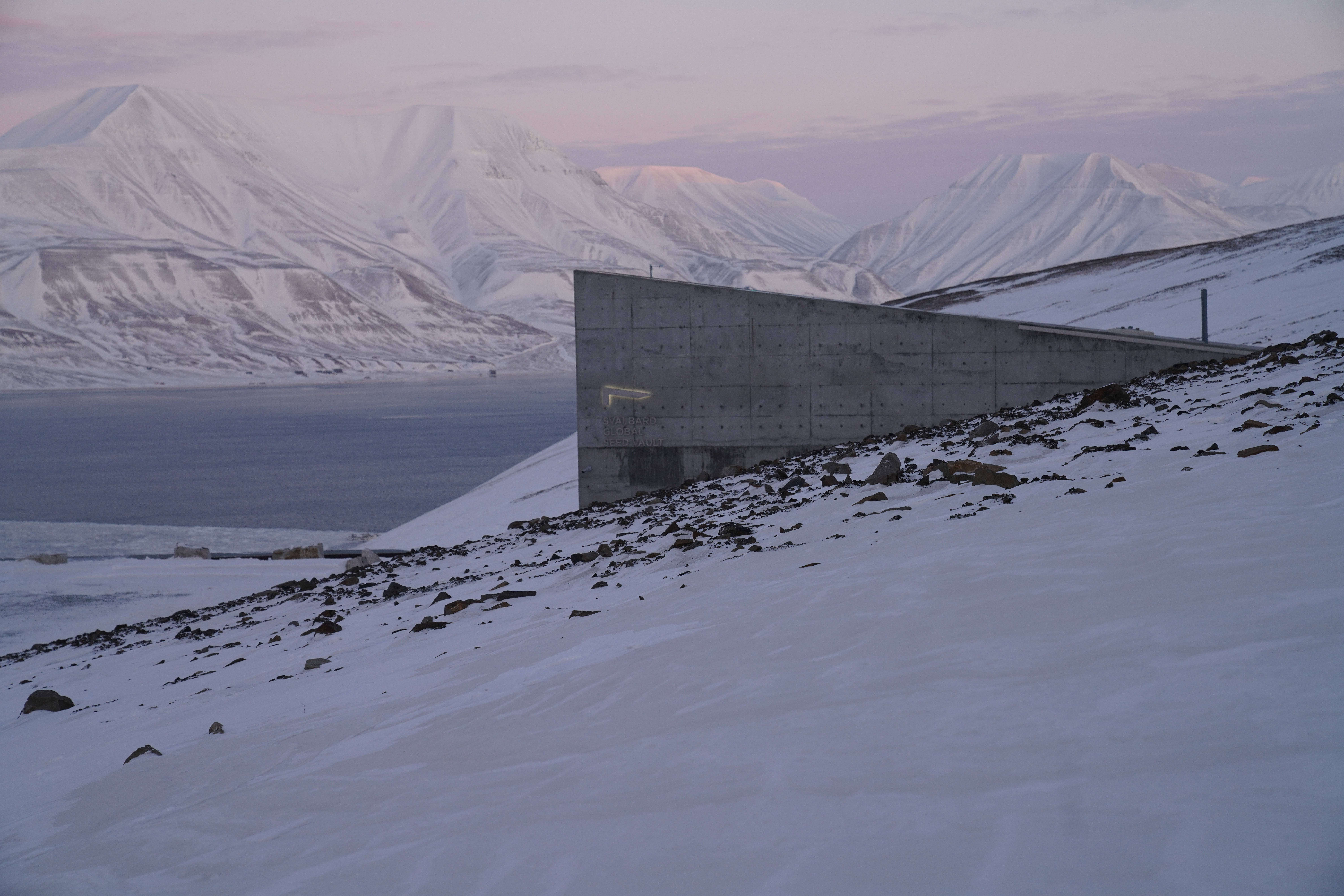 Арктическое Всемирное семенохранилище: природный банк на случай апокалипсиса