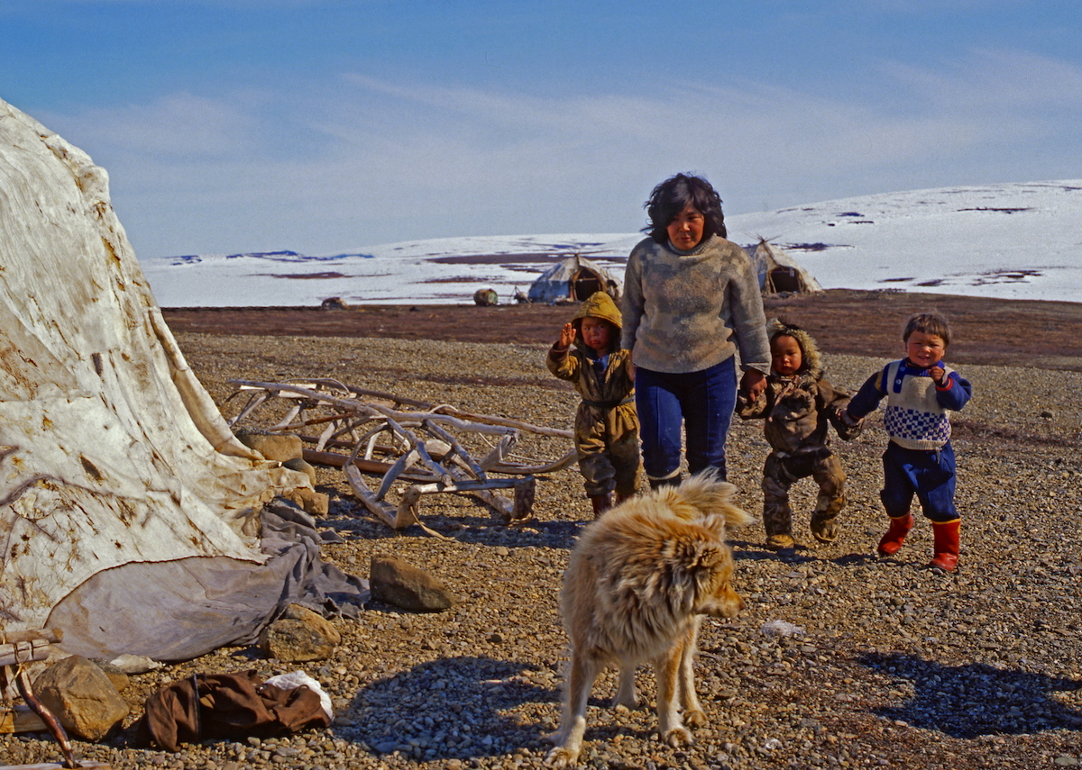 На Чукотке в 2025 году увеличены социальные выплаты кочующим семьям, а пособие для многодетных кочевников со следующего года удвоено