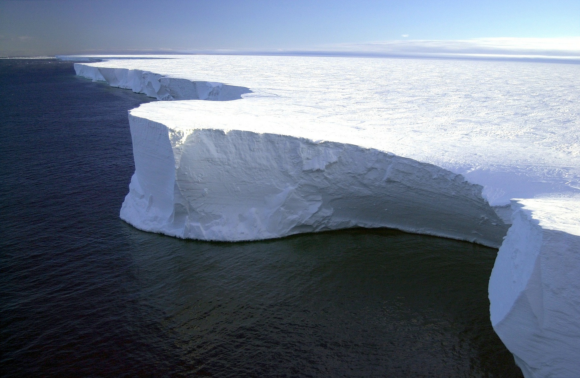 Арктика, Антарктика и Антарктида – ответ на вопрос в чем разница, отличие и сходство